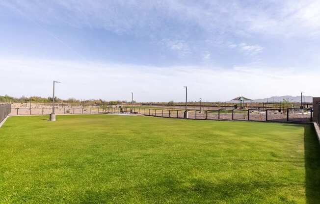 A large, well-maintained grassy field with a fence and street lights.