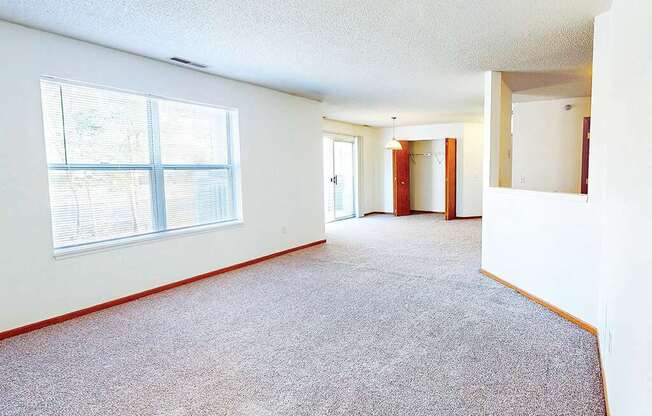 A large empty room with a carpeted floor and a window.