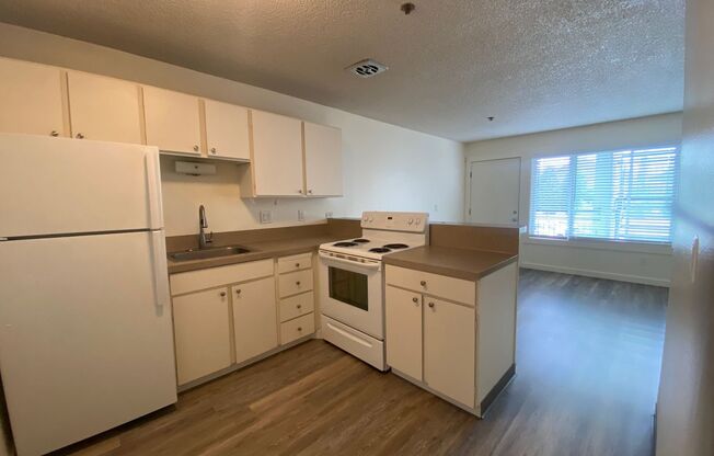 1 bed, 1 bath, 415 sqft, $1,395, Unit 2