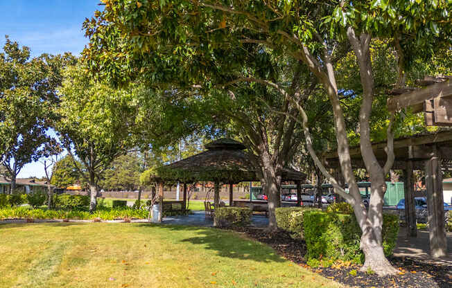 Green space, trees, and gazebo at The Grove at Walnut Creek Apartments in Walnut Creek, CA.