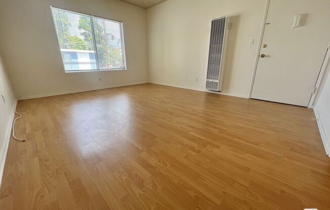 Studio, 1 bath, 350 sqft, $1,650, Unit 5