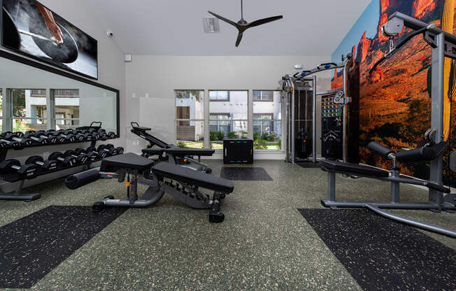 A gym with a variety of equipment including treadmills, weights, and a bench.