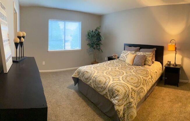 1 bed, 1 bath, 730 sqft, $800