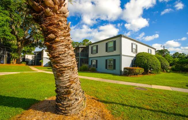 a palm tree in front of a house