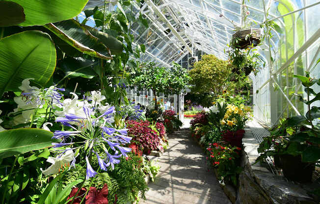 A greenhouse with a variety of plants and flowers.