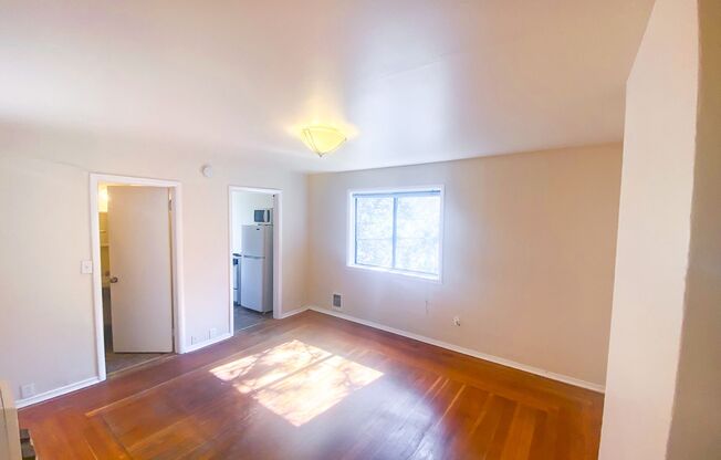 Studio, 1 bath, 390 sqft, $1,150, Unit 10