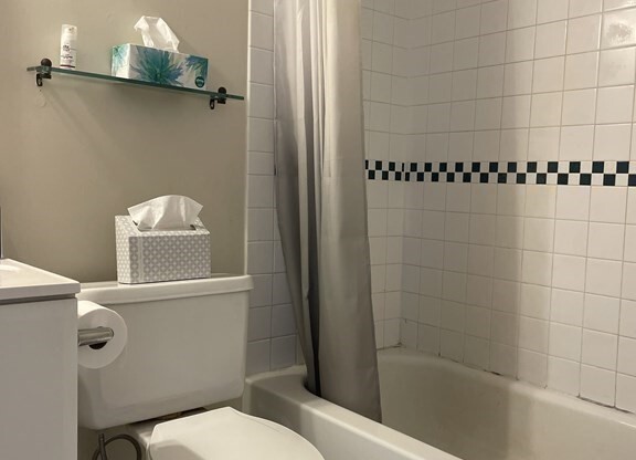 1 bed, 1 bath, 513 sqft, $2,850, Unit 902