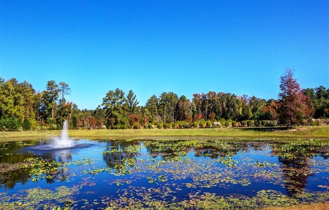 Lake View