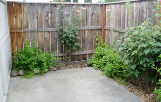 Ground Level 1 bedroom Condo Available soon