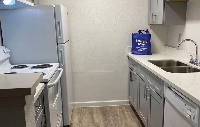 1 bed, 1 bath, 583 sqft, $940, Unit 0307