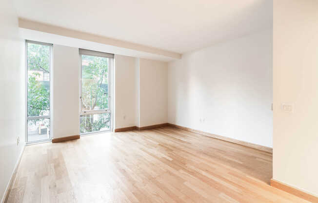 Studio Living Area with Floor-to-Ceiling Windows