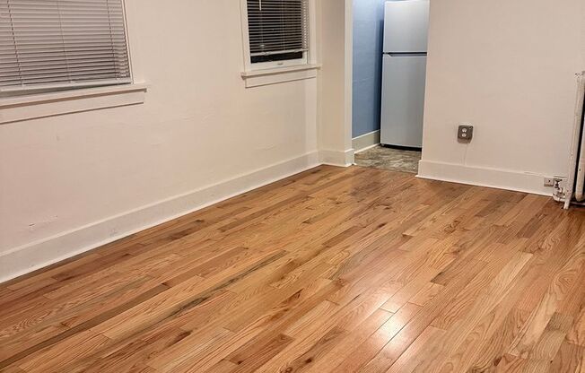 Studio, 1 bath, 400 sqft, $1,495, Unit A