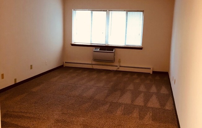 1 bed, 1 bath, 650 sqft, $1,035, Unit 209