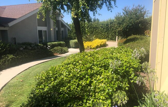 **Coming Soon** Modern Irvine Townhome in Desirable Deerfield Neighborhood