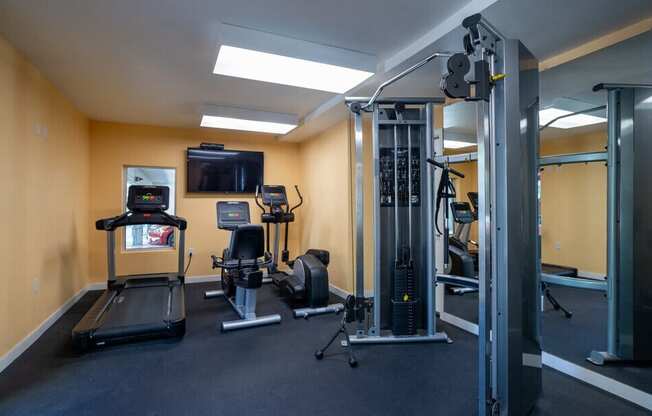 A gym with treadmills, weights, and exercise machines.