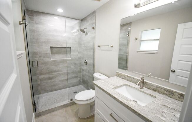 4 bedroom / 3 bath in Irving