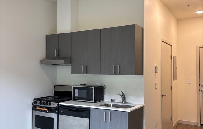 Studio, 1 bath, 249 sqft, $1,295, Unit 109