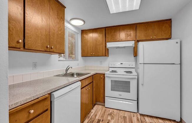 1 bed, 1 bath, 672 sqft, $1,450, Unit 1003