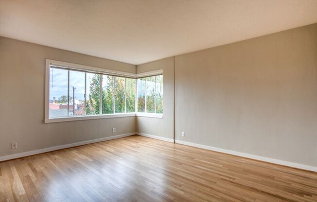 1 bed, 1 bath, 530 sqft, $1,475, Unit 307