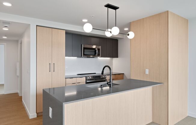 1 bed, 1 bath, 421 sqft, $1,795, Unit 501