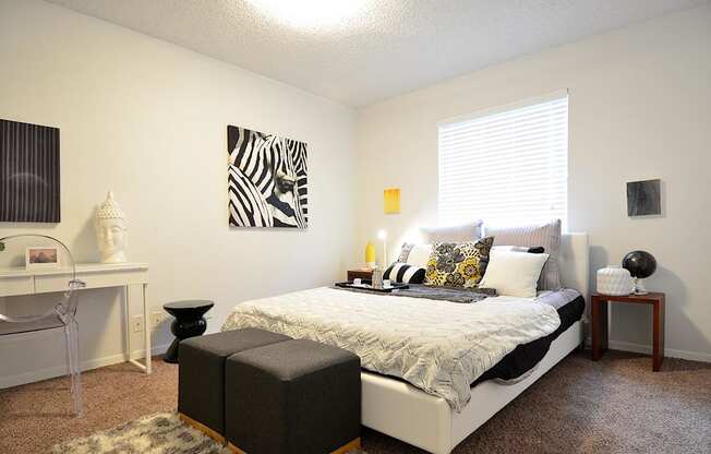 Modern Austin Apartment