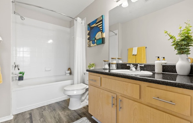 our apartments offer a bathroom with a bathtub