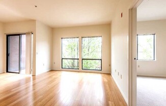 1 bed, 1 bath, 678 sqft, $1,825, Unit 203