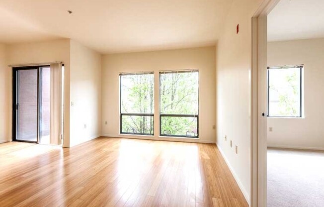 1 bed, 1 bath, 678 sqft, $1,825, Unit 203