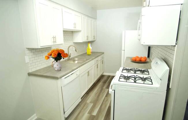 Kitchen - Premium Upgrade