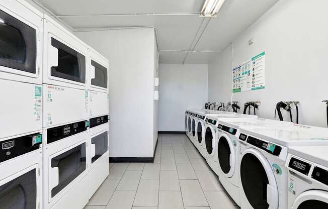 A row of white ovens and washing machines are lined up in a room.