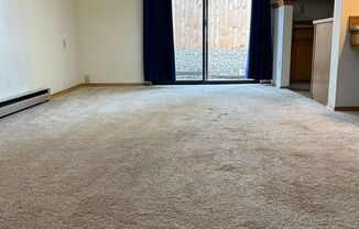 1 bed, 1 bath, $1,400