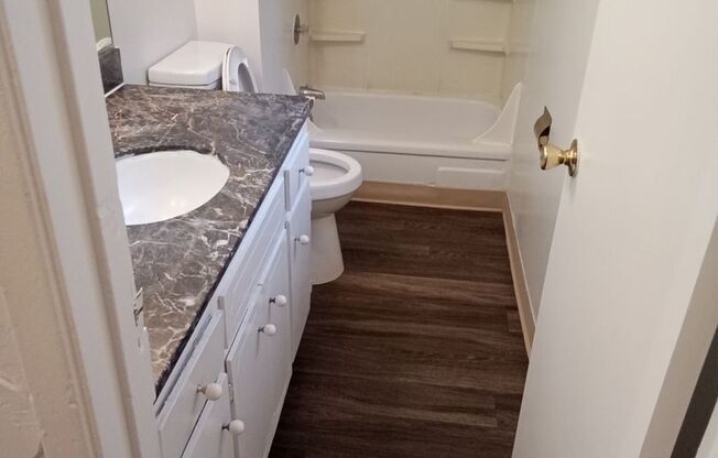 Studio, 1 bath, 532 sqft, $1,200