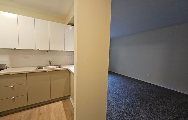 525 W. Deming Place