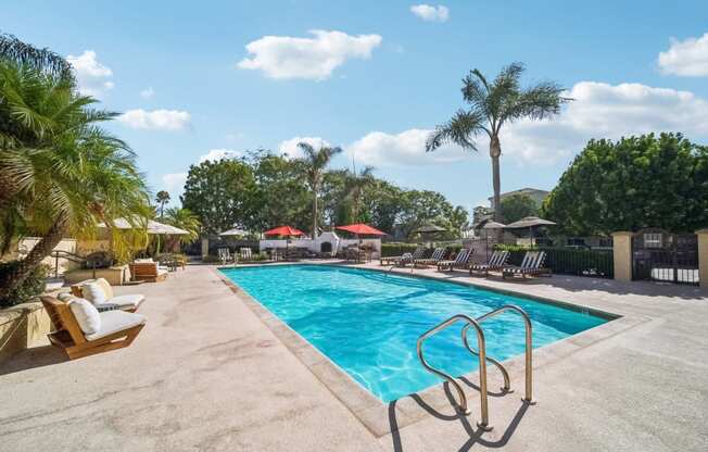 the swimming pool at the resort at longboat key club