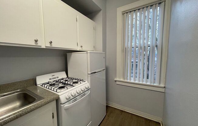 Studio, 1 bath, 300 sqft, $1,230, Unit 308