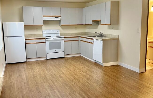 Studio, 1 bath, 393 sqft, $1,295, Unit 318