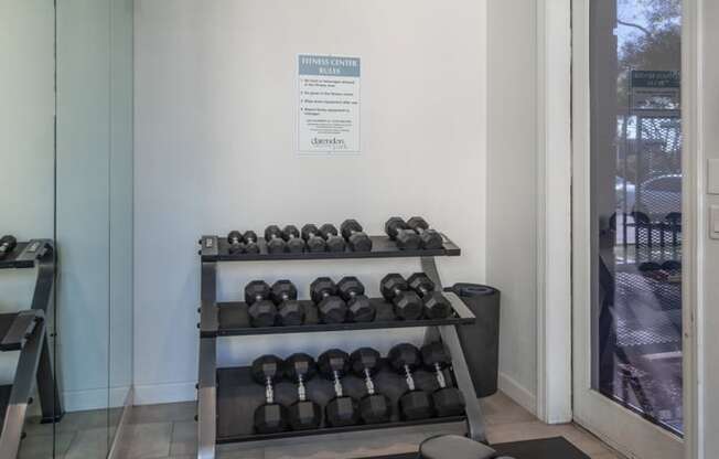 a gym with weights and a mat