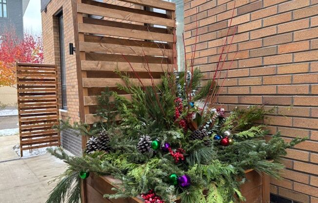 1 bed, 1 bath, 515 sqft, $1,399, Unit S 203