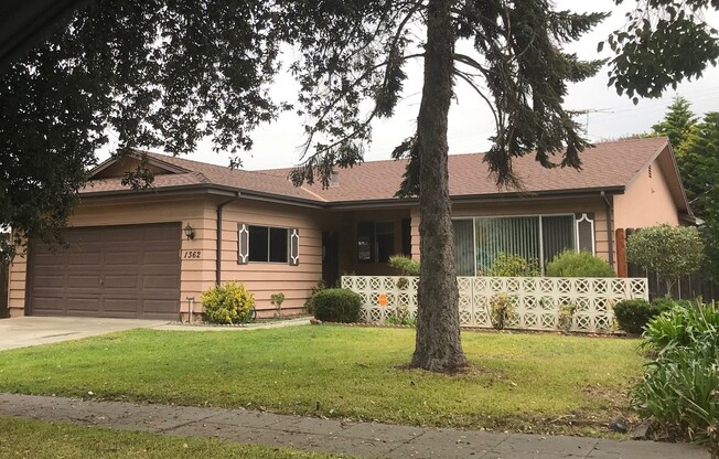 Home adjacent to park with new paint and new carpet plus garage and lemon tree in yard