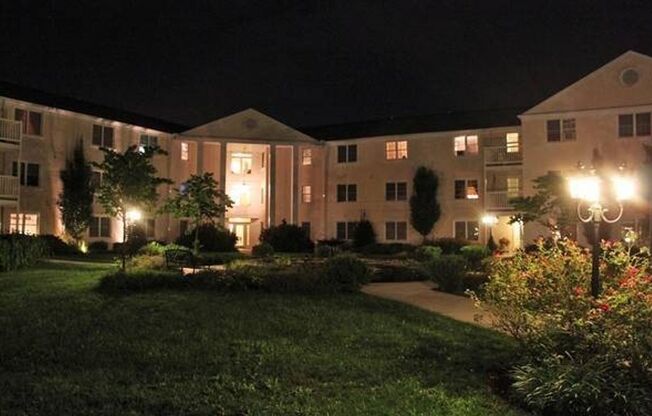 1 bed, 1 bath, $1,895, Unit LL - 313