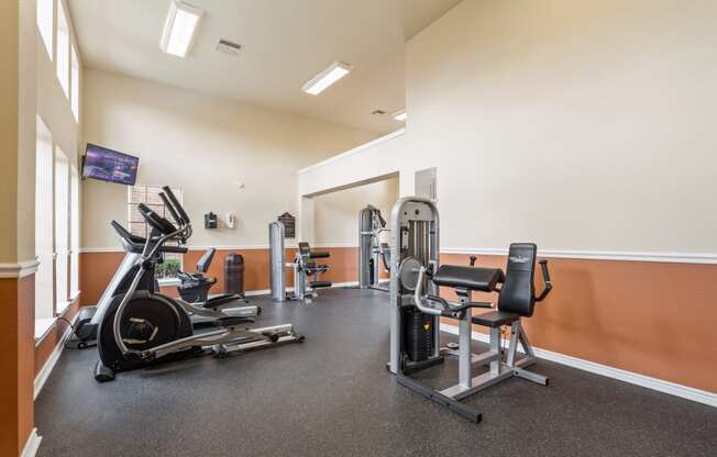 our gym is equipped with a variety of exercise equipment