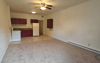 1 bed, 1 bath, 500 sqft, $725, Unit 1