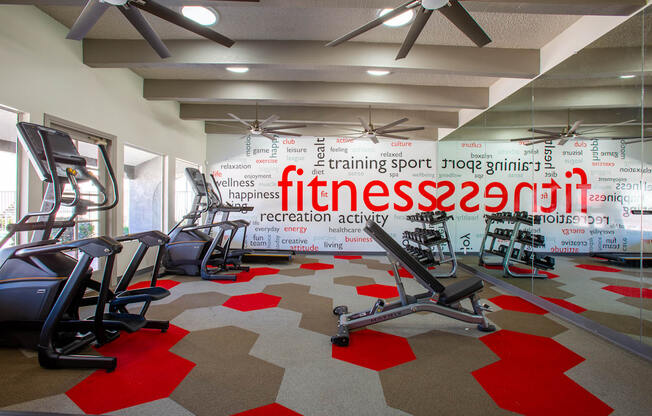 Cardio Equipment at The Vintage Apartments, Tucson