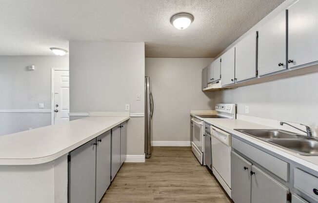 1 bed, 1 bath, $1,500, Unit #303