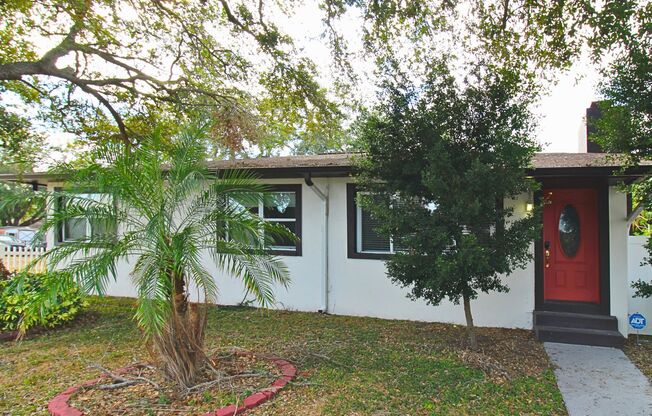 Charming Renovated Tampa Home with Fully Fenced Front & Backyard