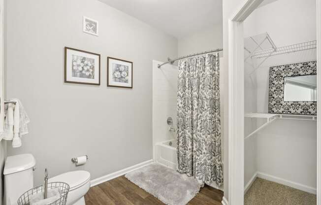 A bathroom with a toilet, a shower curtain, a mirror and a rug.