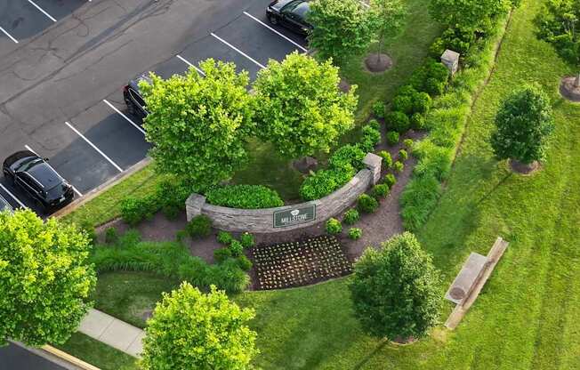 A park area with a bench and a tree.