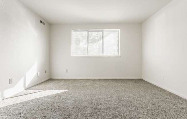 A room with a carpeted floor and a window.
