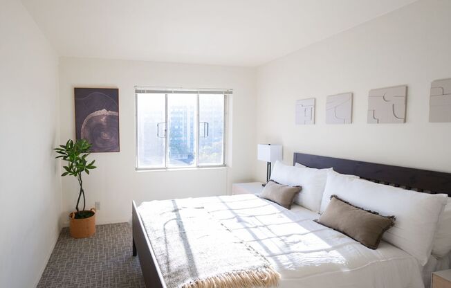 1 bed, 1 bath, 548 sqft, $1,239, Unit 504A