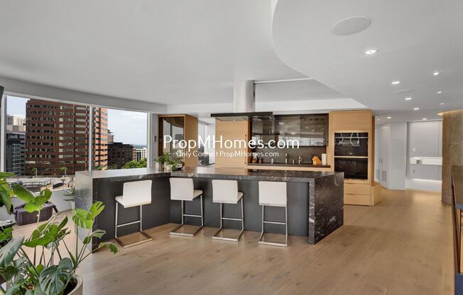 Fully Updated Luxury Portland Penthouse - The Gem of the City!